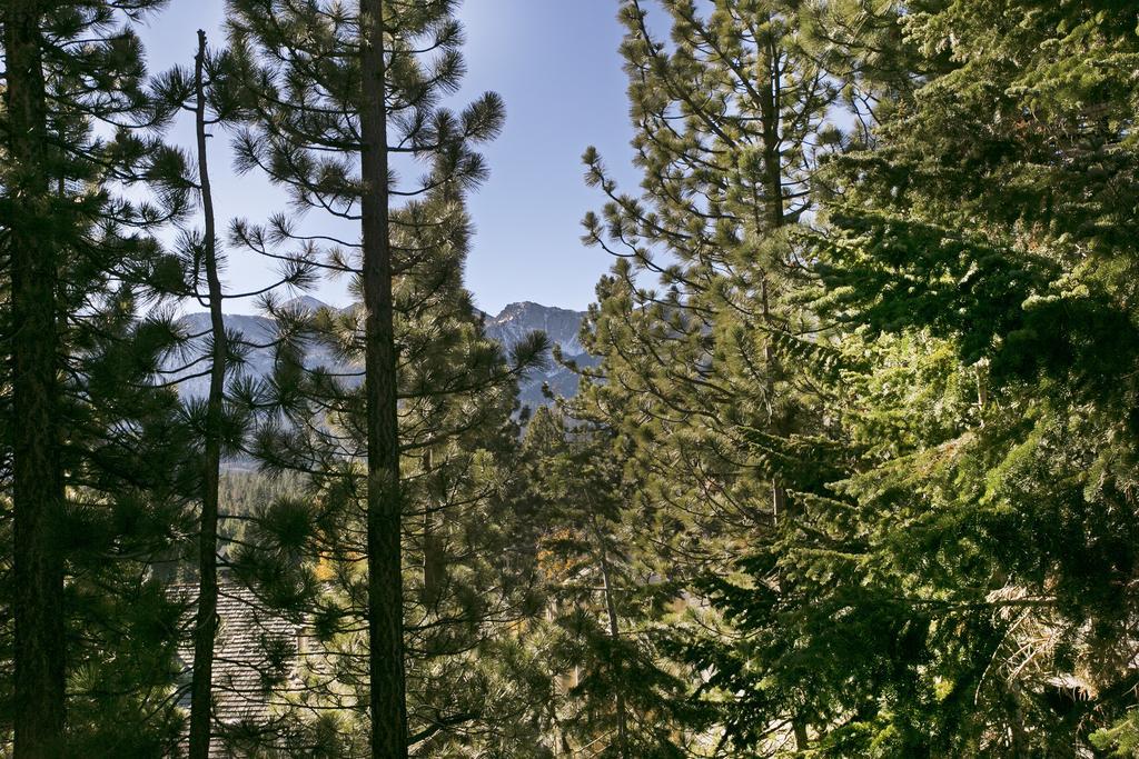 Mammoth Village Properties By 101 Great Escapes Mammoth Lakes Szoba fotó